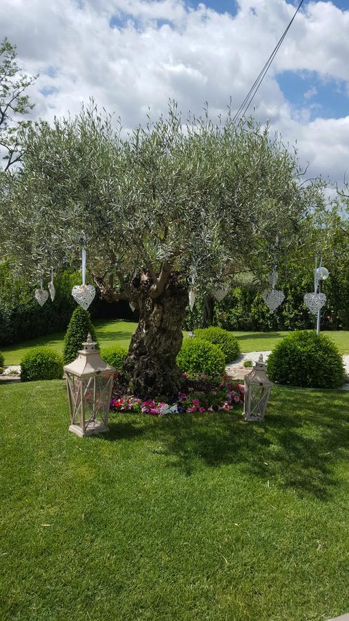 Alojamento de Acomodação e Pequeno-almoço Sant'alessandro Roma