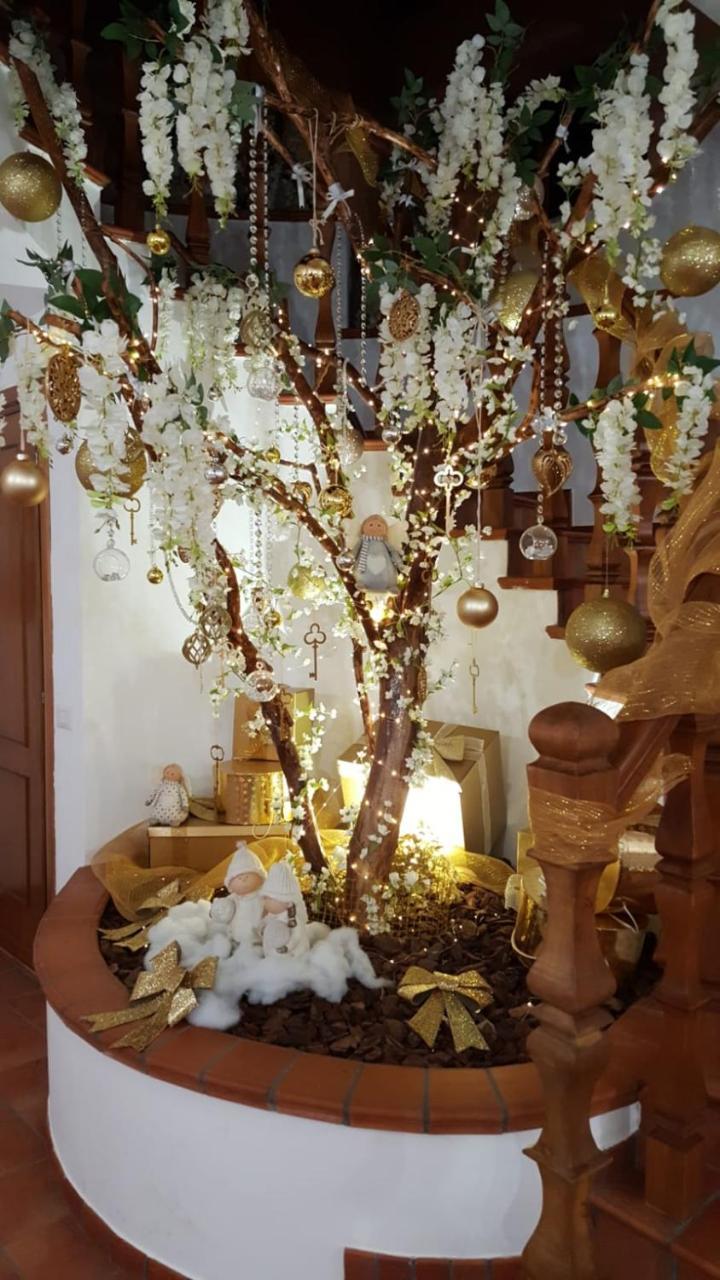 Alojamento de Acomodação e Pequeno-almoço Sant'alessandro Roma